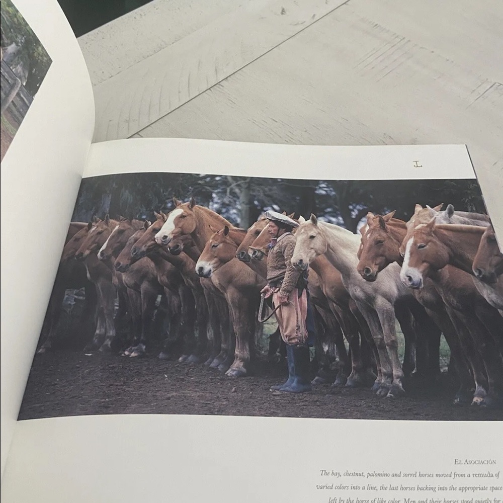 Waiting for Daylight King Ranch Texas Images Past Janell Kleberg 1st Ed … - Picture 8 of 9